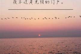 福海市侦探调查公司